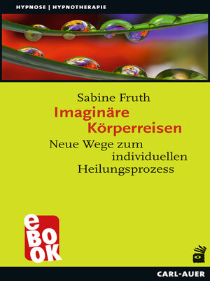 cover image of Imaginäre Körperreisen